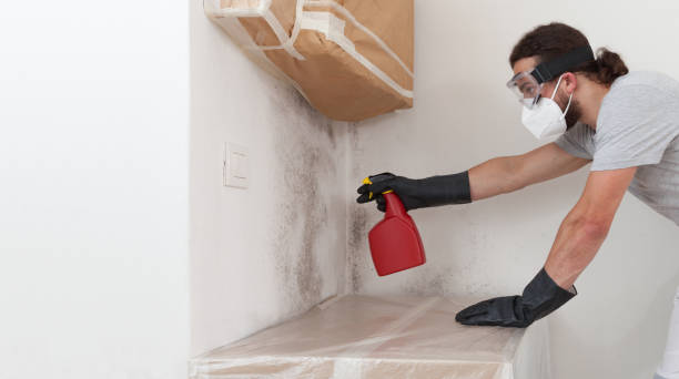 Professional Bathroom Mold Removal technician working in Lignum, VA