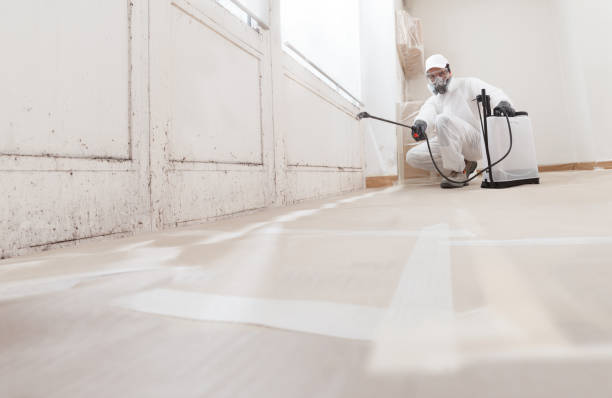 24/7 Emergency Bathroom Mold Removal experts in Lignum, VA