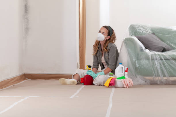 Reliable Bathroom Mold Removal contractor in Lignum, VA by WQB Mold Removal